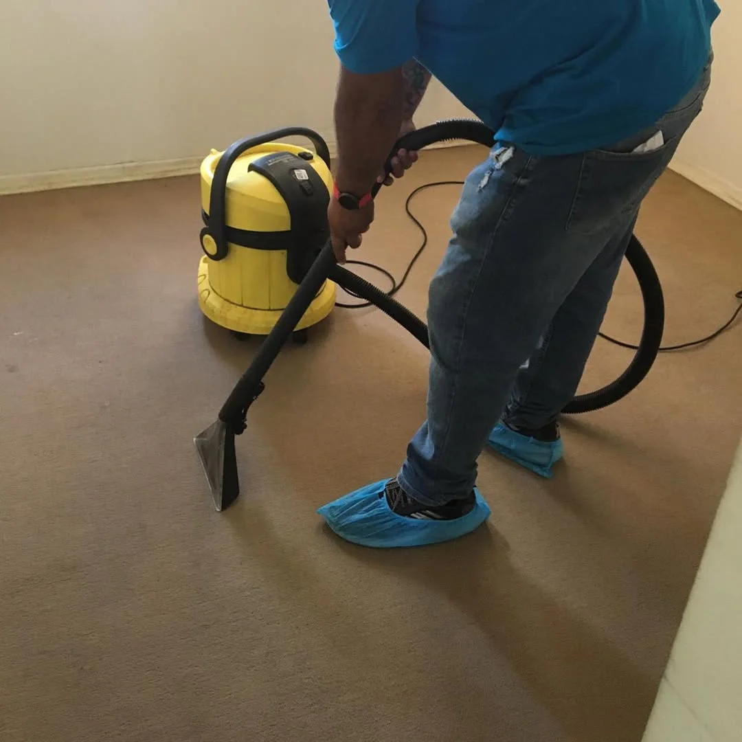 Resultado de limpieza de alfombra